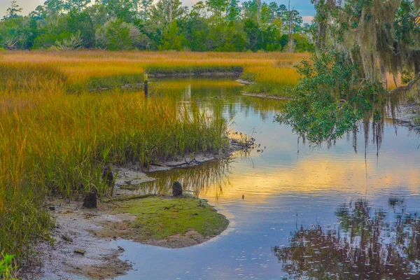 Eine Bucht Fluss Tolomato Johns County Florida Usa — Stockfoto