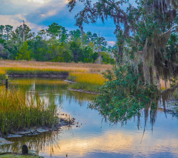 Een Cove Tolomato Rivier Amerikaanse Staat Florida Valt Bestuurlijk Gezien — Stockfoto