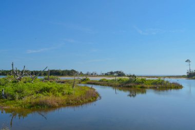 Big Talbot State Park, Jacksonville, Duval County, Florida Usa noktasındaki sawpit Creek