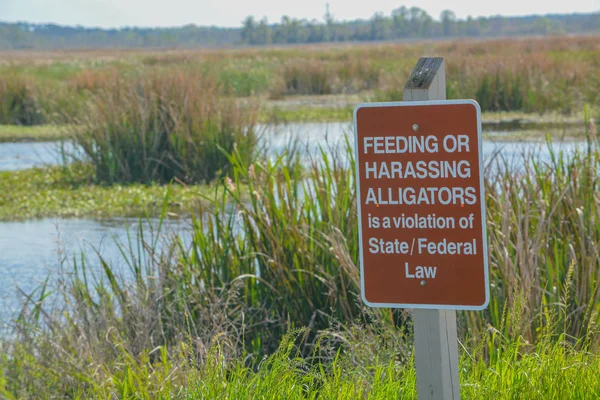 Alligator Warning Sign Savannah National Wildlife Refuge Hardeeville Jasper County — Stock Photo, Image