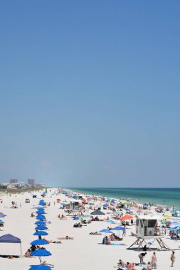 Escambia County Pensacola Beach Plaj müdavimleri, Florida Meksika Körfezi, ABD