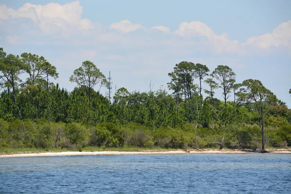 Great Blue Heron Standing Railing Gulf Breeze City Park Santa — Stock Photo, Image