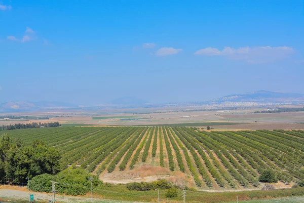 Vista Sobre Jezreel Valley Tel Megiddo Conhecido Como Vale Armagedom — Fotografia de Stock