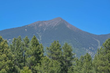 The view of Mount Humphreys and its Agassiz Peak. One of the San Francisco Peaks in the Arizona Pine Forest. Near Flagstaff, Coconino County, Arizona USA. clipart