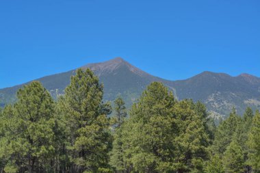 The view of Mount Humphreys and its Agassiz Peak. One of the San Francisco Peaks in the Arizona Pine Forest. Near Flagstaff, Coconino County, Arizona USA. clipart