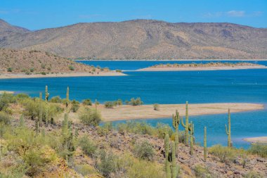 Pleasant Gölü manzaralı. Pleasant Bölgesel Parkı, Sonoran Çölü, Arizona ABD