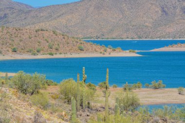 Pleasant Gölü manzaralı. Pleasant Bölgesel Parkı, Sonoran Çölü, Arizona ABD