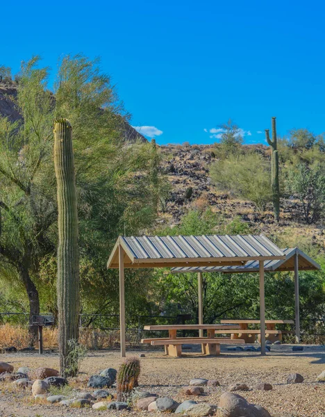 Picnic area with picnic table and barbecue in Lake Pleasant Regional Park. Sonoran Desert, Arizona USA