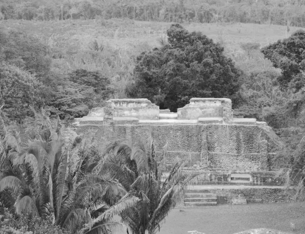 Blanco Negro Reserva Arqueológica Xunantunich Ruinas Históricas Antigua Ciudad Belice — Foto de Stock