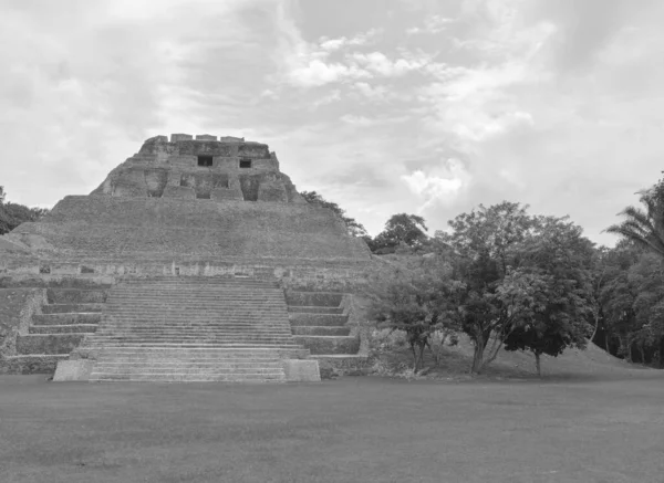 Blanco Negro Reserva Arqueológica Xunantunich Ruinas Históricas Antigua Ciudad Belice —  Fotos de Stock