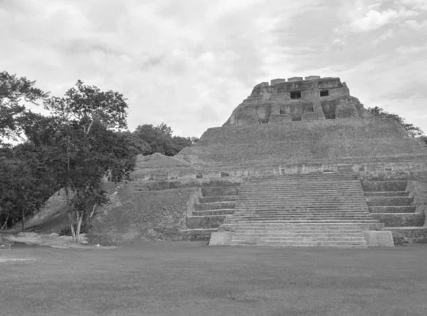 Fekete Fehér Xunantunich Régészeti Rezervátum Történelmi Óvárosi Romok Belize Ben — Stock Fotó