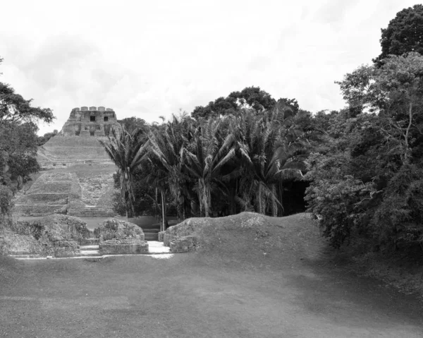 Preto Branco Reserva Arqueológica Xunantunich Ruínas Históricas Cidade Antiga Belize — Fotografia de Stock