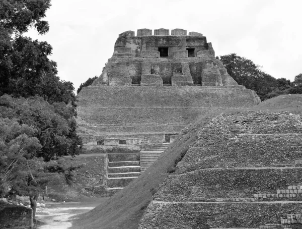 Preto Branco Reserva Arqueológica Xunantunich Ruínas Históricas Cidade Antiga Belize — Fotografia de Stock