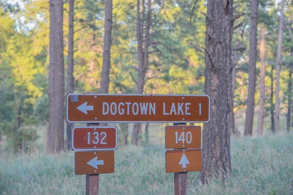 亚利桑那州北部Kaibab国家森林的Dogtown Lake Sign — 图库照片