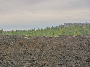 Günbatımı Krateri Volkanı Lava Havuzu, Bonito 'nun Lava Flow' undan oluşmuştur. Ponderosa Çam Ağaçları lav kayalarında yetişiyor. Kuzey Arizona 'da