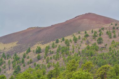 Günbatımı Krateri Volkanı bir Külkedisi Konisidir. Yamaçlarında Ponderosa Çam ağaçları var. Coconino County, Arizona Krateri Volkanı bir Kül Konisidir. Yamaçlarında Ponderosa Çam ağaçları var. Coconino County, Arizona