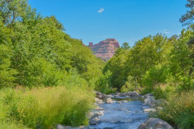 Oak Creek 'in güzel manzarası Coconino Ulusal Ormanı' nın Oak Creek Kanyonu 'ndaki tatlı su kaynağı. Sedona, Arizona