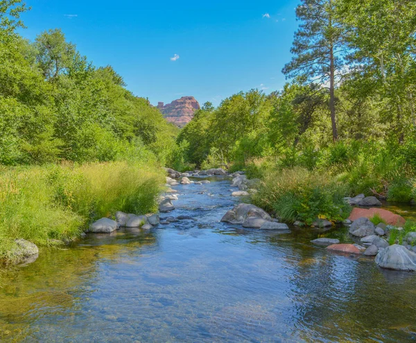Beautiful View Oak Creek Freshwater Spring Oak Creek Canyon Coconino — Stock Photo, Image