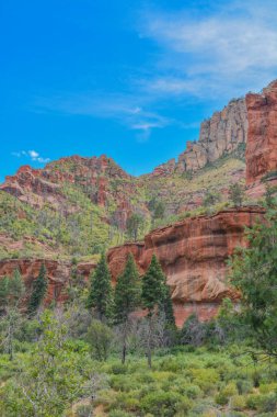 Coconino Ulusal Ormanı, Sedona, Arizona 'daki Oak Creek Kanyonu' nda muhteşem bir kızıl kaya sürücüsü..