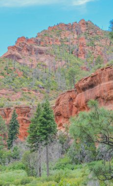 Coconino Ulusal Ormanı, Sedona, Arizona 'daki Oak Creek Kanyonu' nda muhteşem bir kızıl kaya sürücüsü..