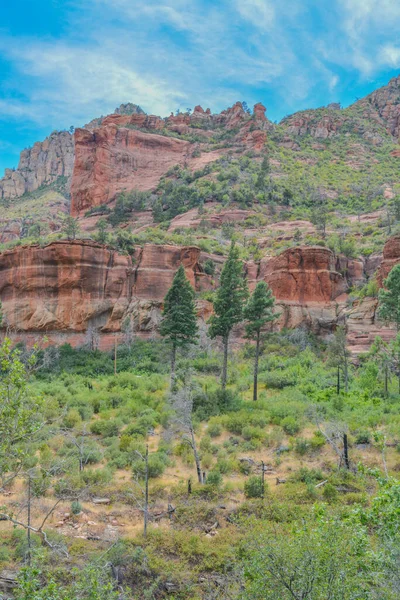 Preciosa Unidad Roca Roja Cañón Oak Creek Bosque Nacional Coconino — Foto de Stock