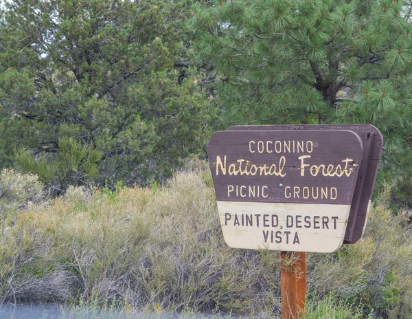 亚利桑那州北部松林的科科宁诺国家森林园林绿化荒地签名 — 图库照片