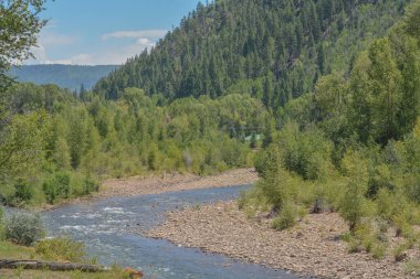 Dolores Nehri San Juan Ulusal Ormanı 'ndan geçiyor. Dolores, Colorado