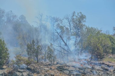 Colorado 'daki otoyolun yanında yol kenarı yangını
