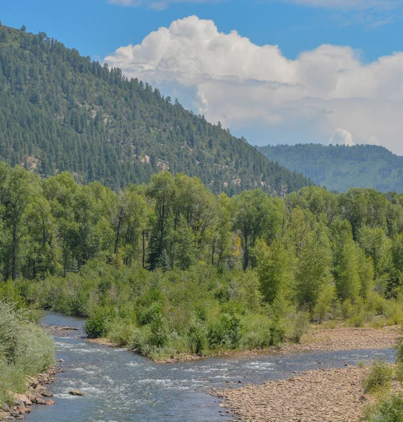 The Dolores River winding through the San Juan National Forest. Dolores, Colorado