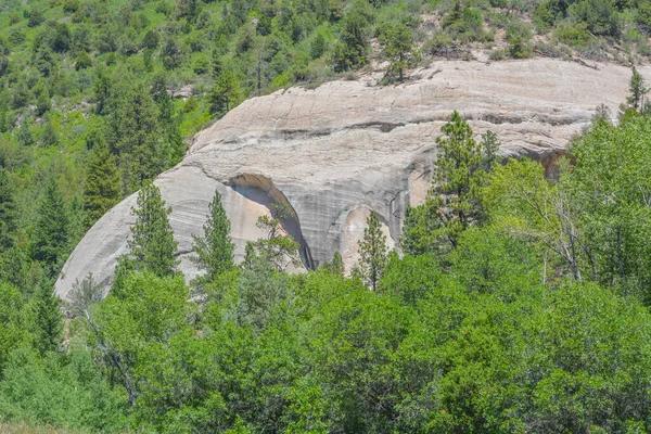 Árvores Cercam Uma Pedra Enorme Região Montanhosa Colorado — Fotografia de Stock