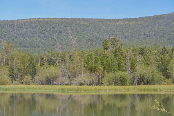 Hermosa Vista Reflejada Moose Pond Flaming Gorge National Recreation Área — Foto de Stock