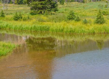 Colorado 'nun Rocky Dağları' ndaki Monarch Geçidi yakınlarındaki güzel dağlar, orman ve manzara. 