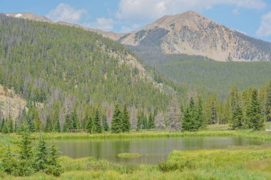 Colorado 'nun Rocky Dağları' ndaki Monarch Geçidi yakınlarındaki güzel dağlar, orman ve manzara. 