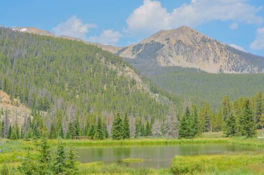Colorado 'nun Rocky Dağları' ndaki Monarch Geçidi yakınlarındaki güzel dağlar, orman ve manzara. 