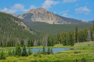Colorado 'nun Rocky Dağları' ndaki Monarch Geçidi yakınlarındaki güzel dağlar, orman ve manzara. 