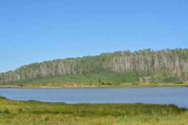 Routt Ulusal Ormanları 'nın dağlarının aşağısındaki barışçıl Freeman Barajı. Colorado 'nun Rocky dağlarında