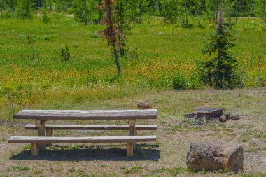 Freeman Rezervuar Kampı 'nda piknik masası ve ateş çukuru olan kamp alanı. Colorado 'daki Rocky Dağlarının Routt Ulusal Ormanı' nda..
