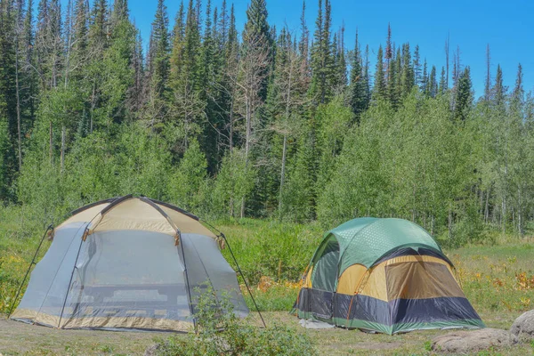 Camping Avec Tentes Camping Freeman Reservoir Dans Forêt Nationale Routt — Photo