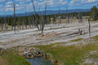 Wyoming 'deki Yellowstone Ulusal Parkı' ndaki Yukarı Gayzer Havzası 'nda termal çölde kaynar su akıyor.