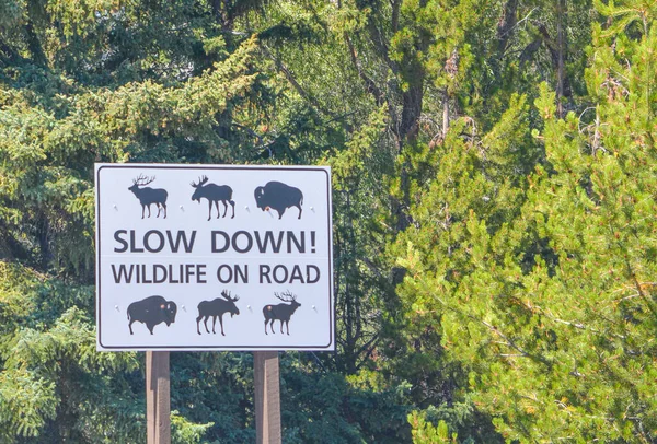 Una Señal Advertencia Más Lento Vida Silvestre Carretera Parque Nacional —  Fotos de Stock