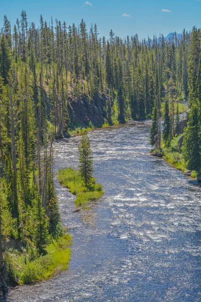 Río Snake Fluye Través Del Bosque Parque Nacional Yellowstone Las — Foto de Stock