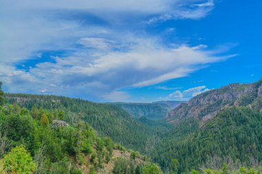 Arizona çam ormanlarındaki Oak Creek Vista 'dan güzel bir manzara..