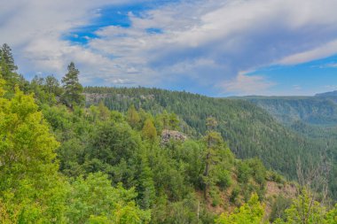 Arizona çam ormanlarındaki Oak Creek Vista 'dan güzel bir manzara..