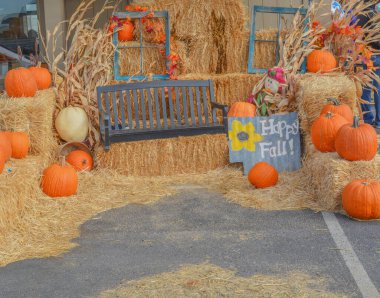 Ontario, Malheur County, Oregon 'daki balkabağı tarlasında mutlu sonbaharlar.