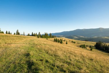 Çayır, dağ ve mavi gökyüzü
