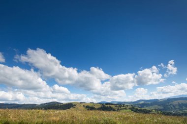 çayır, dağ ve mavi gökyüzü bulutlu