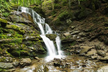 ağaç ve taş arasında dağ Nehri'nin güzel şelale