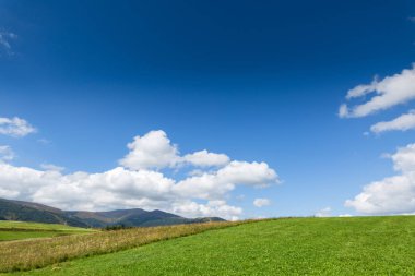 Yeşil çayır, dağ ve mavi gökyüzü bulutlu