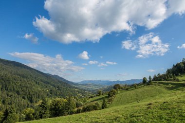 Yeşil çayır, dağ ve mavi gökyüzü bulutlu