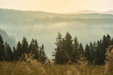 Gündoğumu dağ mesafeden güzel sahne